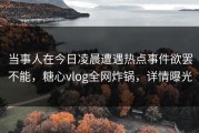 当事人在今日凌晨遭遇热点事件欲罢不能，糖心vlog全网炸锅，详情曝光