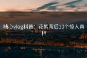 糖心vlog科普：花絮背后10个惊人真相