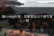 糖心vlog科普：花絮背后10个细节真相
