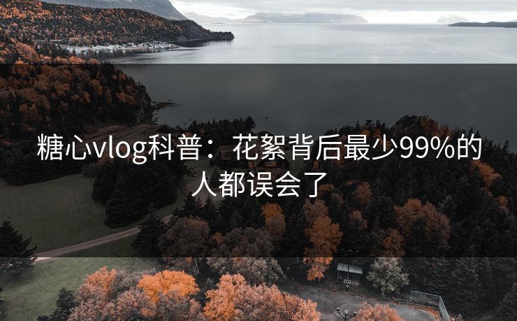 糖心vlog科普：花絮背后最少99%的人都误会了