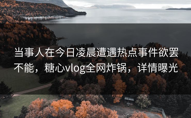 当事人在今日凌晨遭遇热点事件欲罢不能，糖心vlog全网炸锅，详情曝光