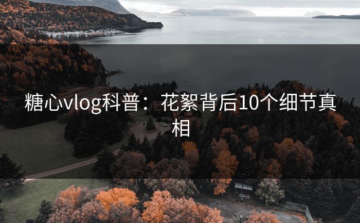 糖心vlog科普:花絮背后10个细节真相 糖心vlog科普:花絮背后10个细节真相