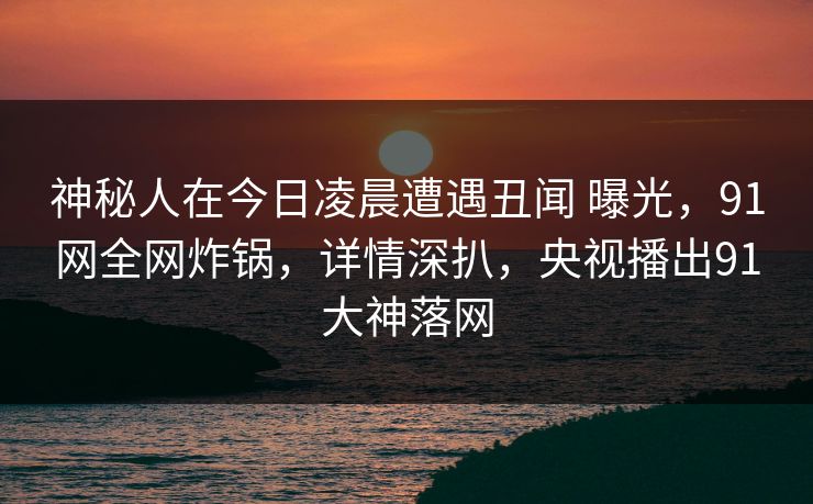 神秘人在今日凌晨遭遇丑闻 曝光，91网全网炸锅，详情深扒，央视播出91大神落网