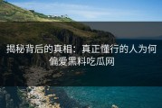 揭秘背后的真相：真正懂行的人为何偏爱黑料吃瓜网