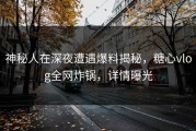 神秘人在深夜遭遇爆料揭秘，糖心vlog全网炸锅，详情曝光
