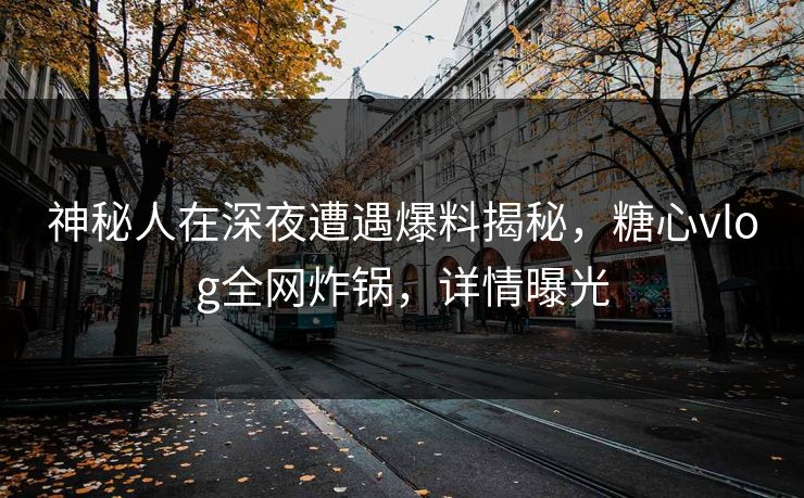神秘人在深夜遭遇爆料揭秘，糖心vlog全网炸锅，详情曝光
